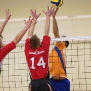 Volleyball